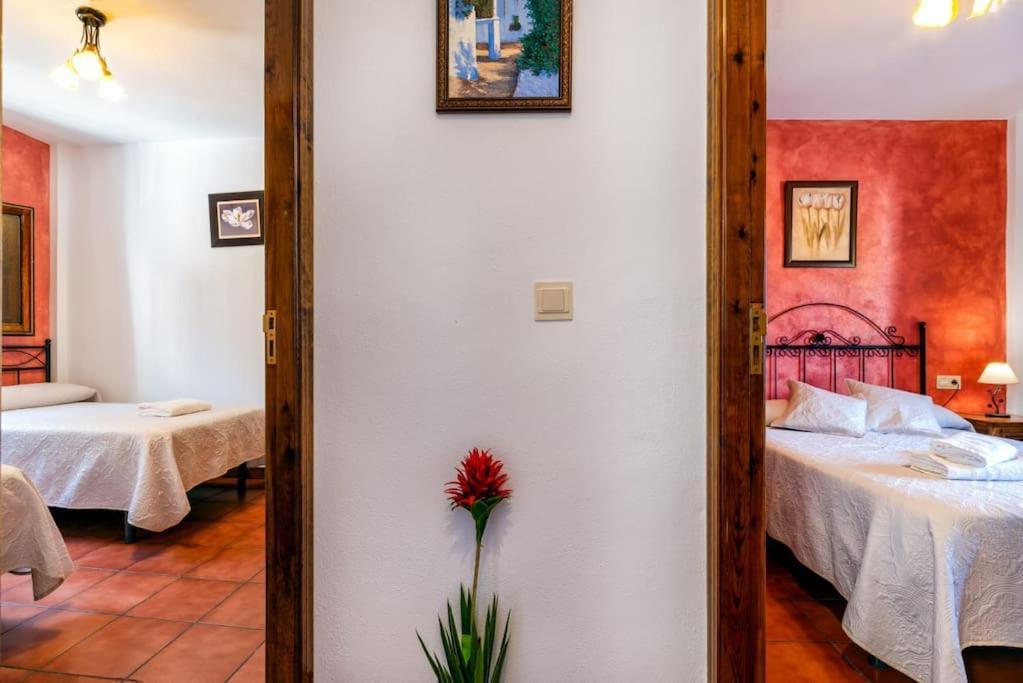Apartament Casa Jose Capileira - Alpujarra Zewnętrze zdjęcie